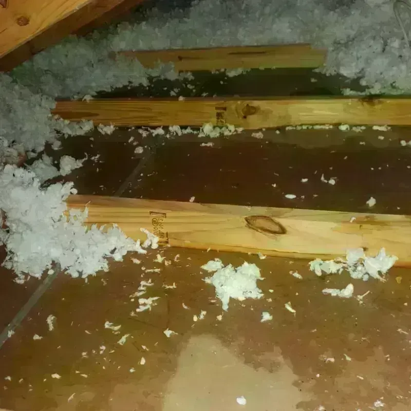 Attic Water Damage in Pinconning, MI