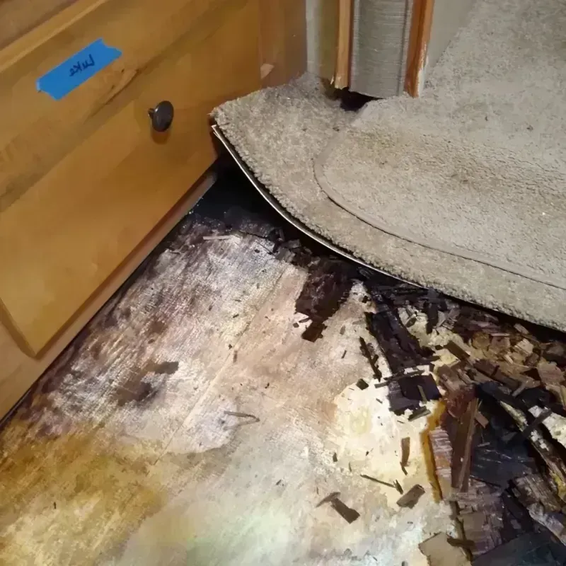 Wood Floor Water Damage in Pinconning, MI